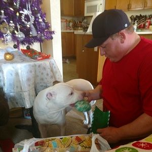 Meet your Posher, Jane